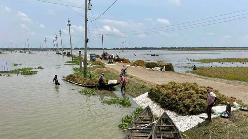 হাওরে কমতে শুরু করেছে ঢলের পানি: জনমনে ফিরছে স্বস্তি, তবে পাঁচটি নদীতে এখনো শঙ্কা