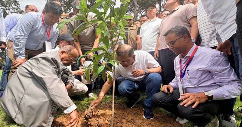 ২৫ কোটি বৃক্ষরোপণ: প্রধানমন্ত্রীর হাতে উদ্বোধন