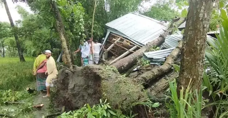 জামালপুরে কালবৈশাখীর তাণ্ডব: ঘরের ওপর গাছ পড়ে মা ও দুই মেয়ের করুণ মৃত্যু